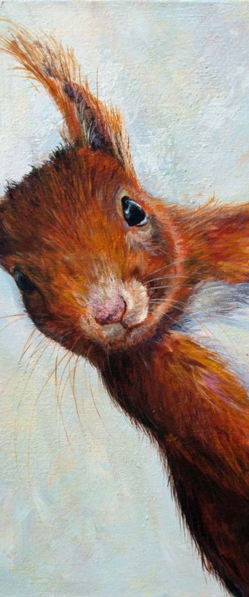 Peek-a-boo by Ruth  Aslett