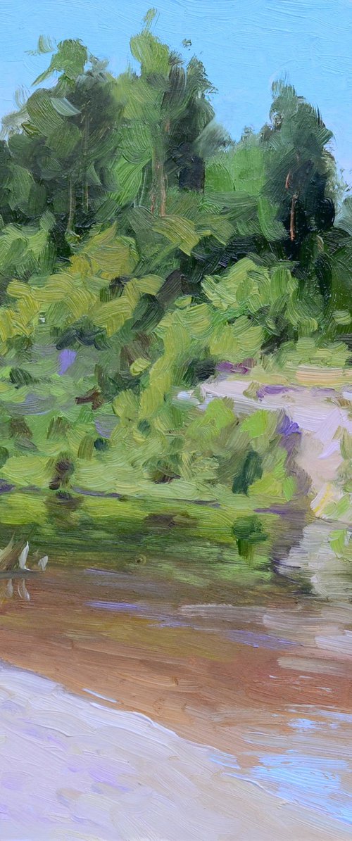 Noon on the river by Ruslan Kiprych