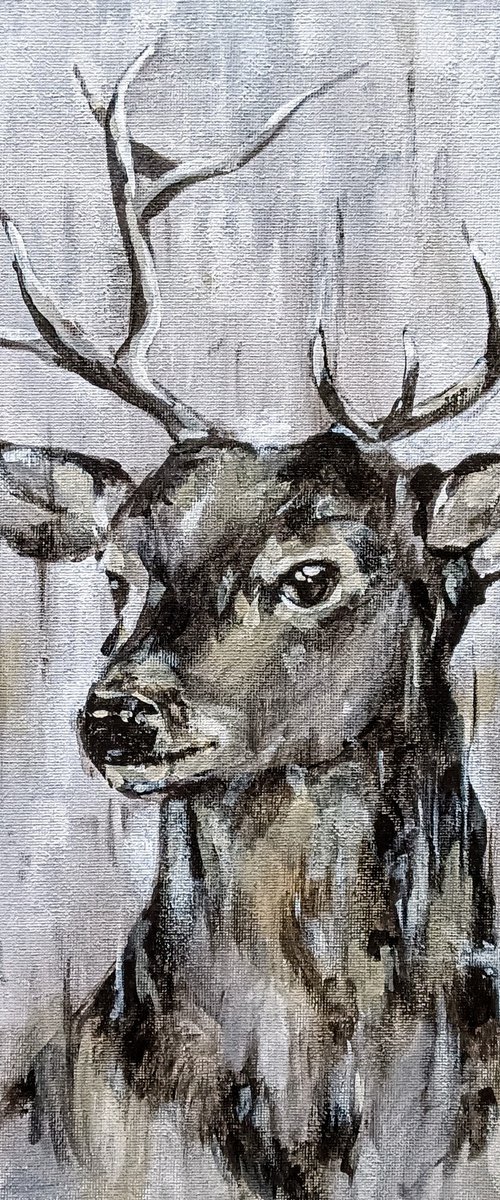 Deer by Svetlana Vitman