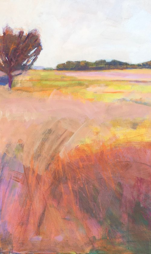 Field Space by Chrissie Havers