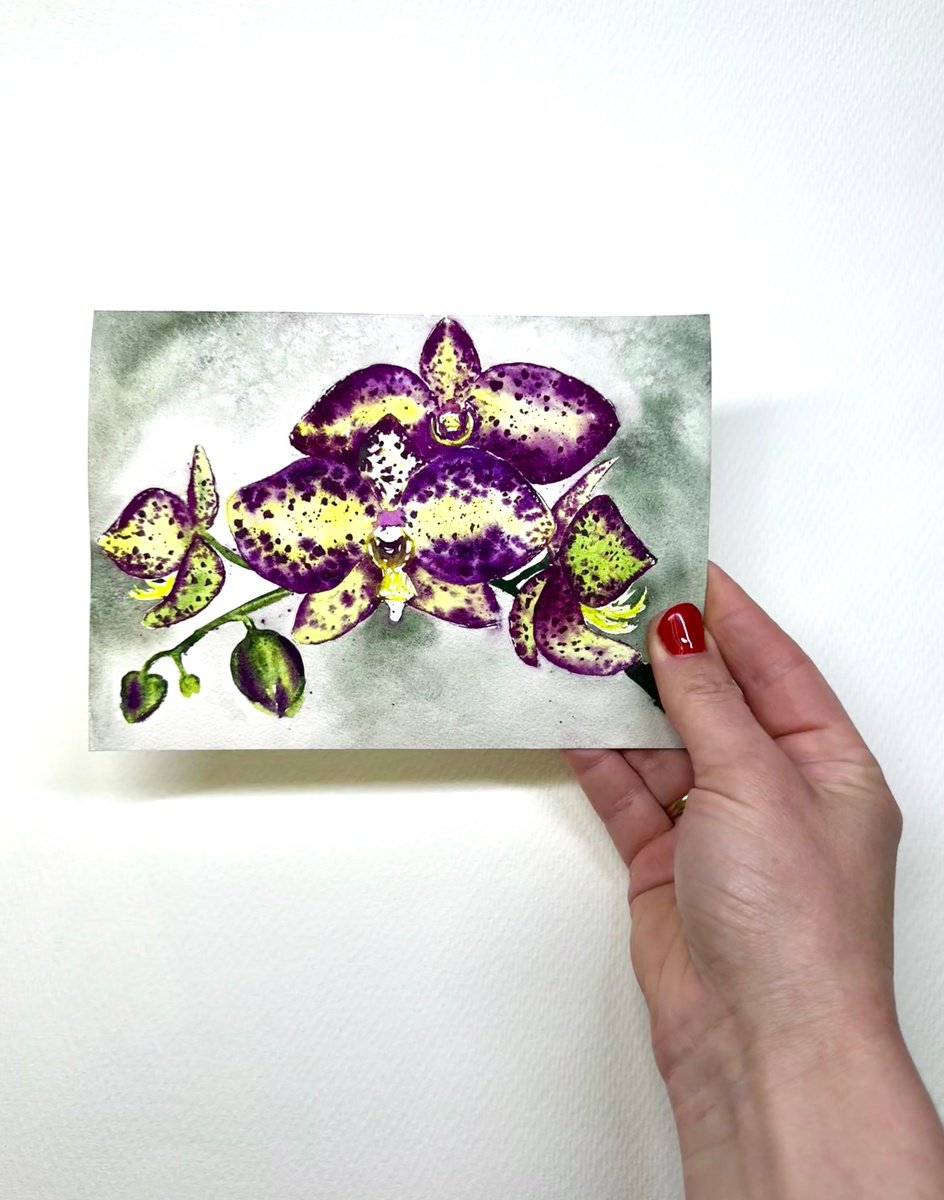 Impressionistic Botanical Print By Yuliia Sharapova, 13 X 11", Wild Orchid Flower Orchid, Original Artwork
