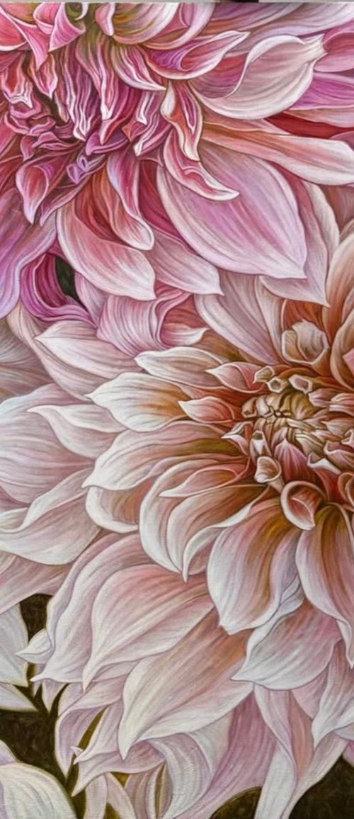 Soft Symphony of Dahlias by Elena