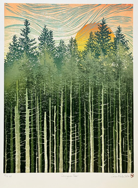 Cairngorm Trees