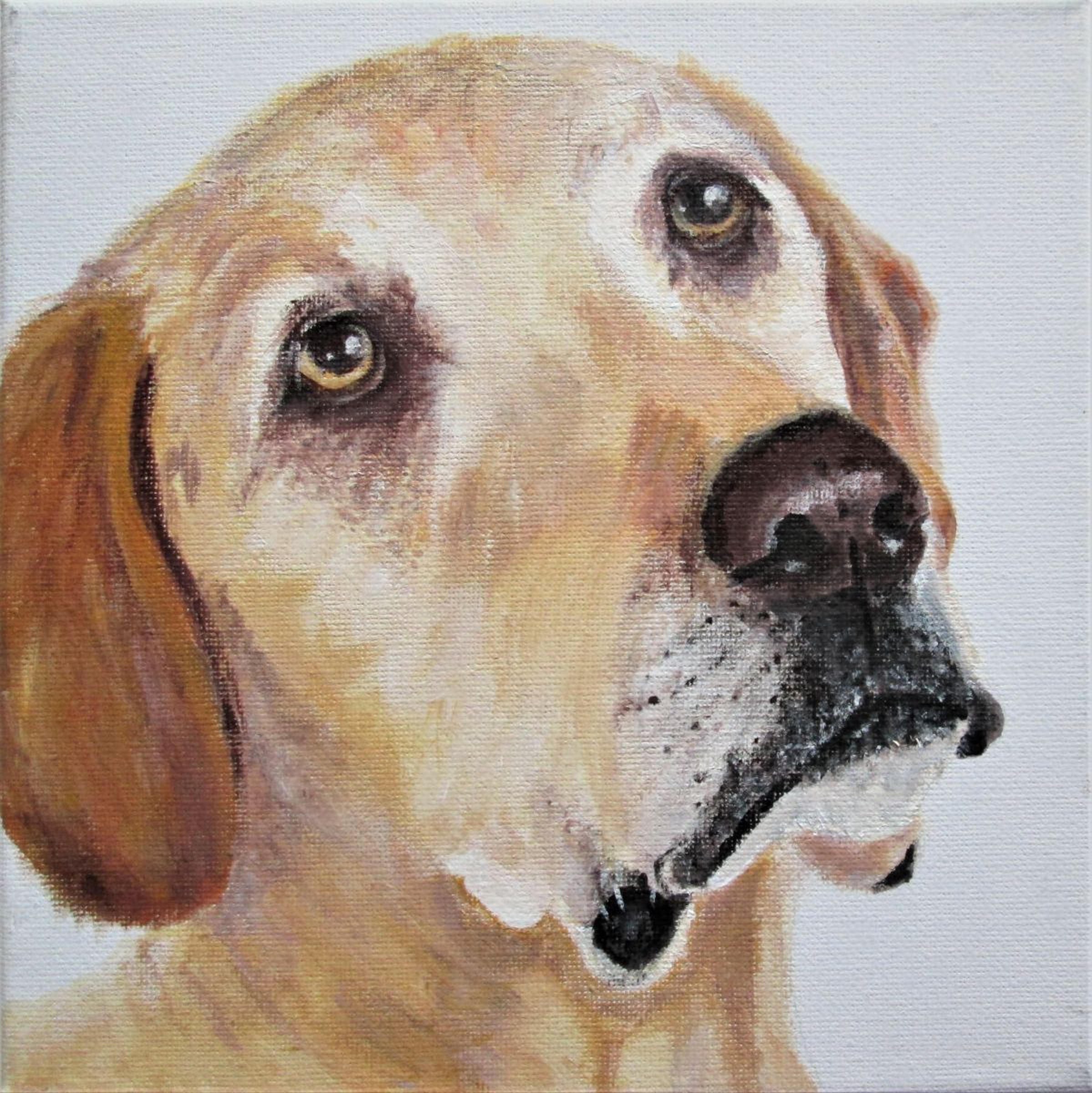 Puppy Dog Dog Painting Acrylic On Canvas Artfinder