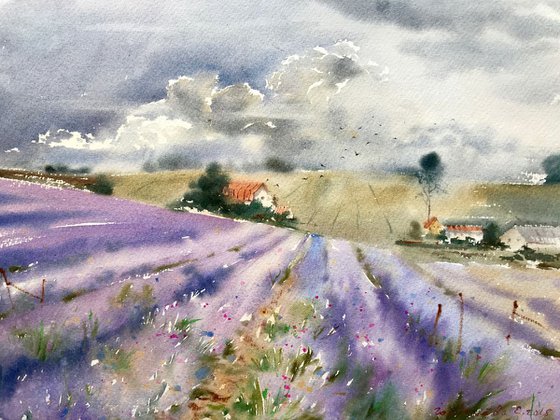 Lavender field and clouds