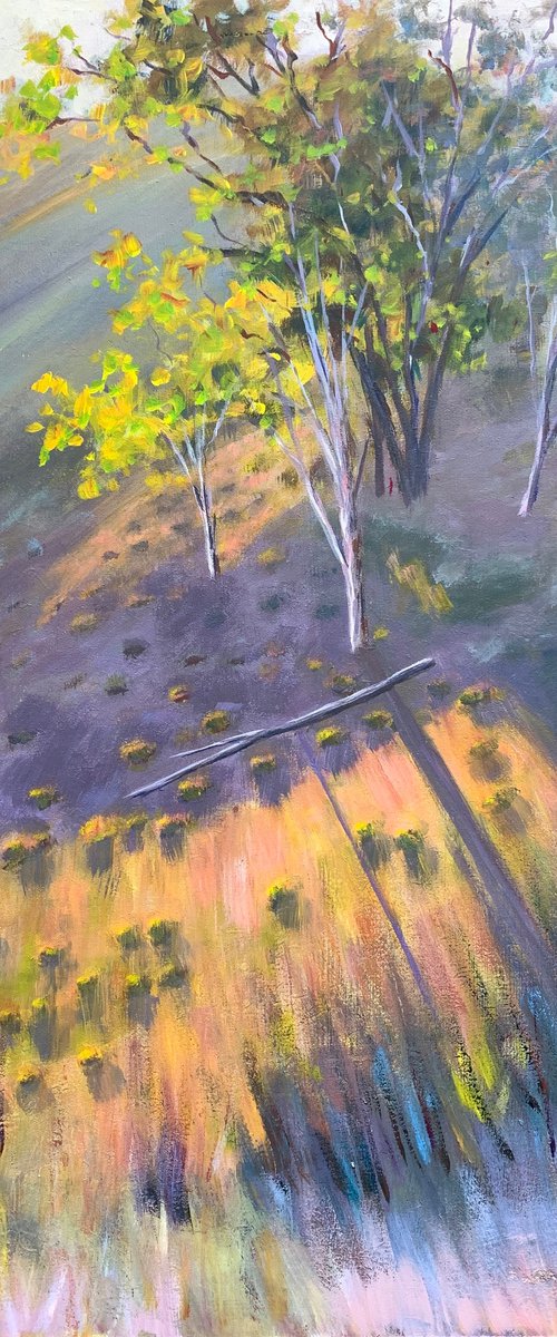 Morning light by Shelly Du