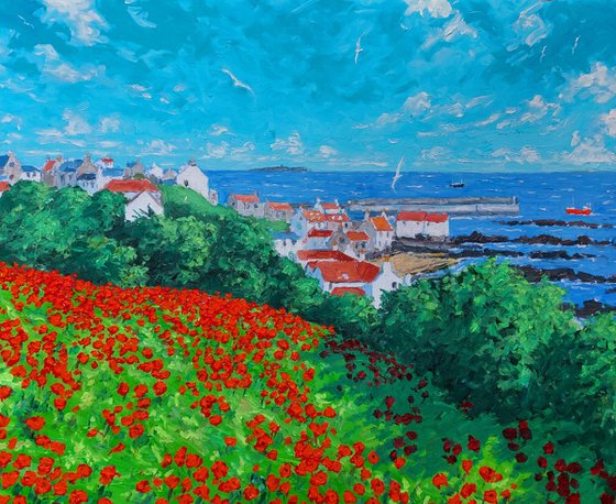 Wild poppies,  Pittenweem