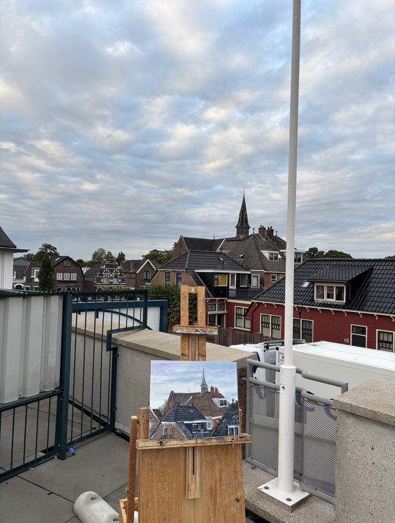 Rooftops of Coevorden