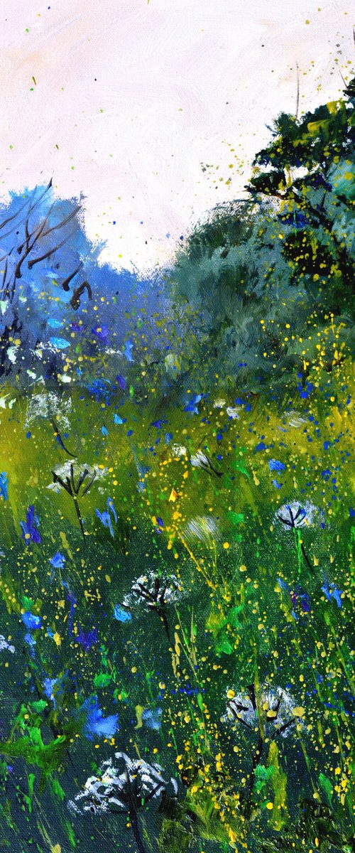 White and blue Wild flowers by Pol Henry Ledent