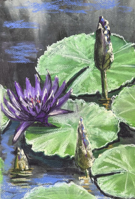 Waterlily Diptych Soft Pastel
