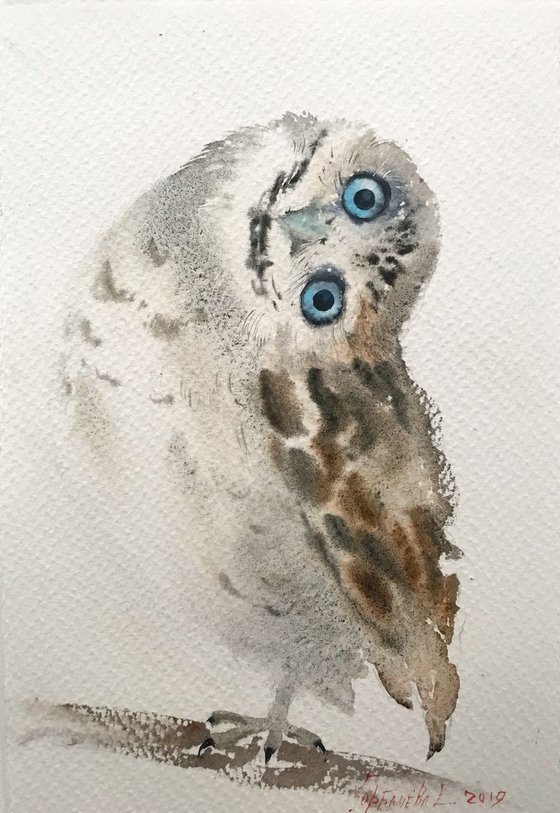 Little owl on a branch II - 19 x 28 cm