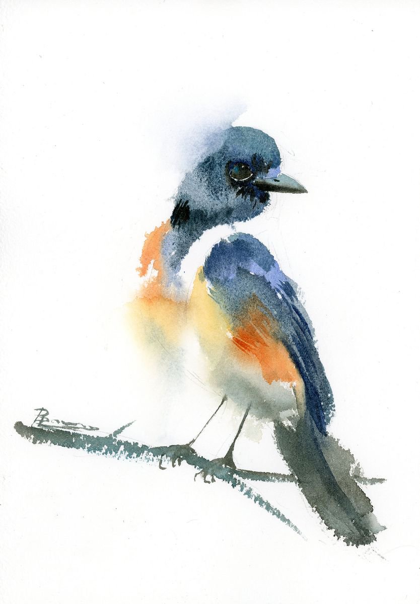 A Single Bluebird by Olga Shefranov (Tchefranova)