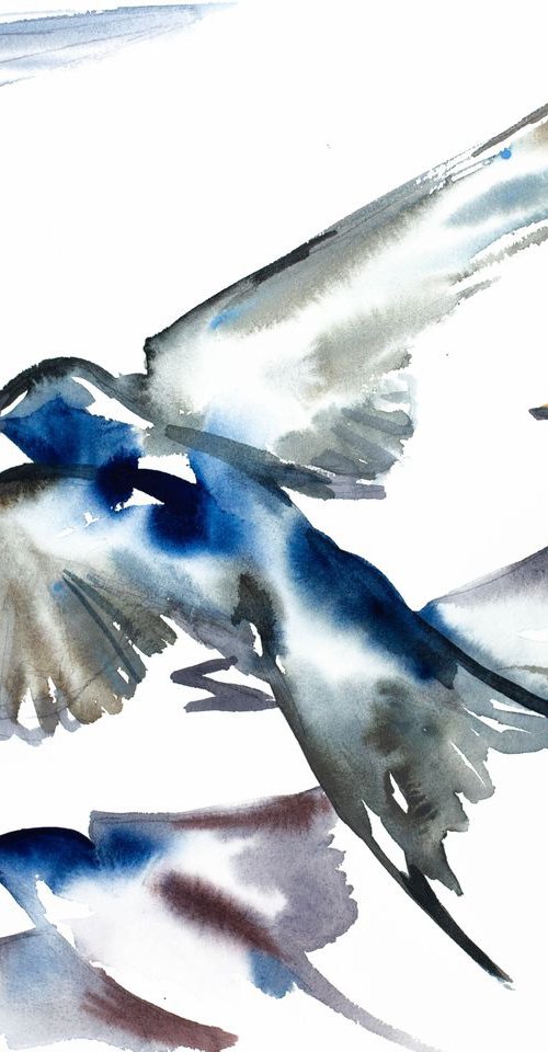 Swallows in Flight No. 13 by Elizabeth Becker