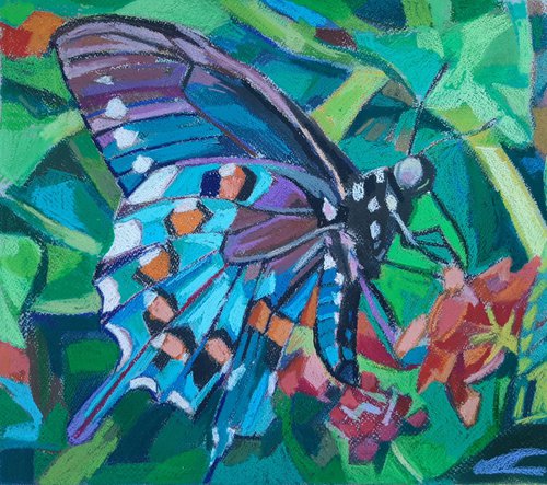 Butterfly  3 by Maja Đokić Mihajlović