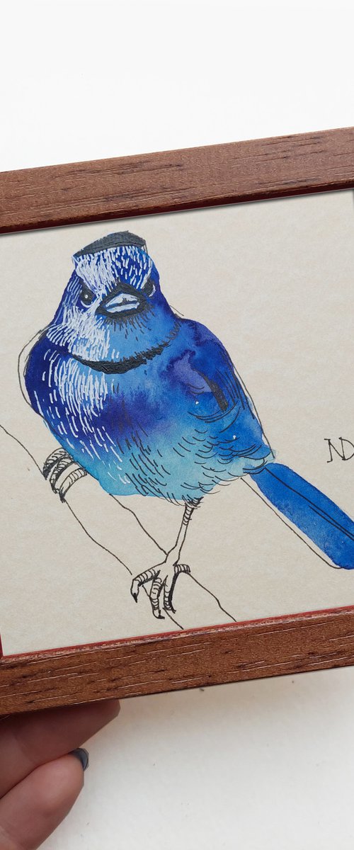 Blue bird Monarch by Nataly Derevyanko
