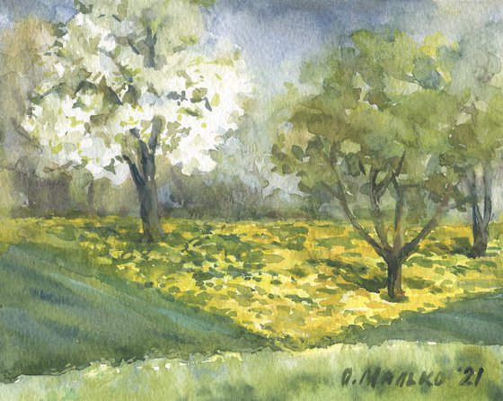 Spring again. Dandelion field / Watercolor sketch. Original artwork. Small size picture
