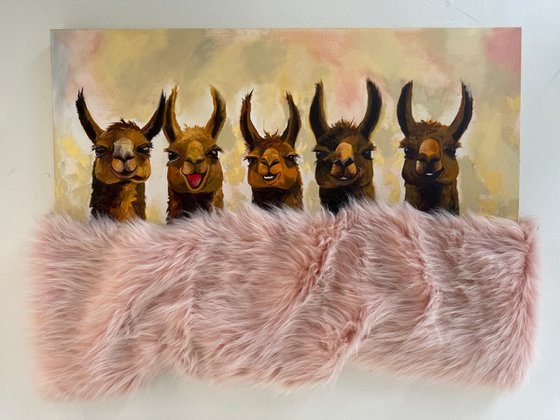 Five Friendly Alpacas