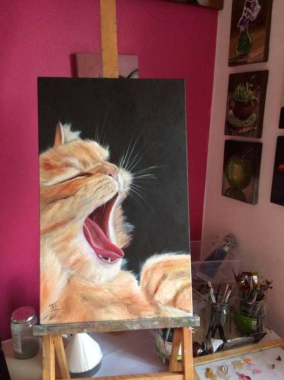 Sweet yawn. Portrait of a ginger Cat