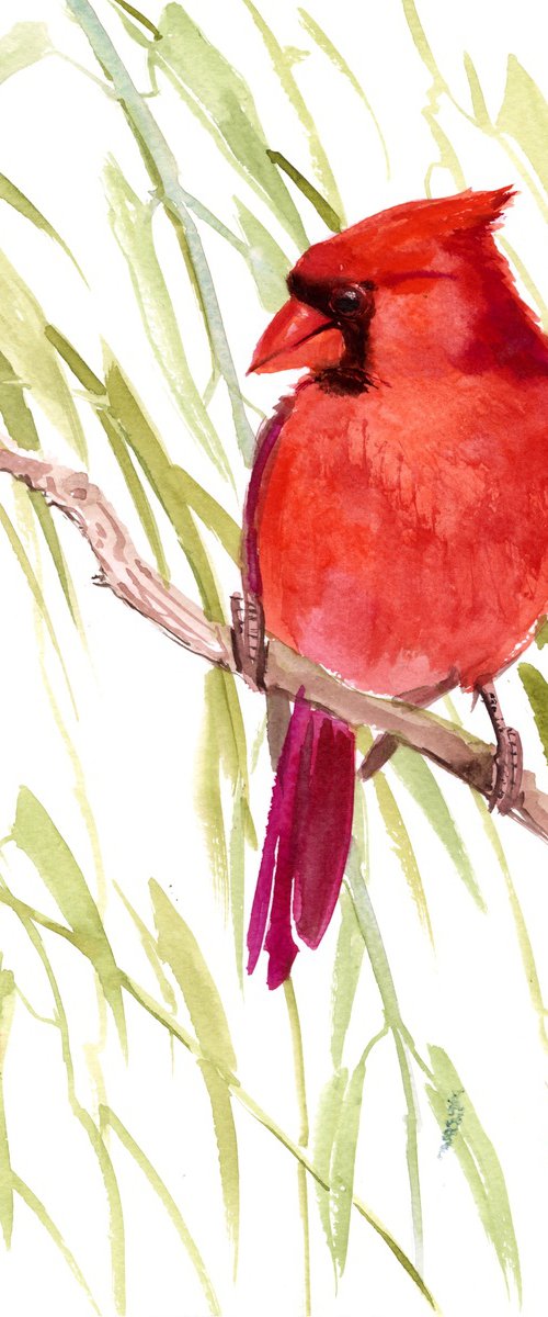 Cardinal Bird by Suren Nersisyan
