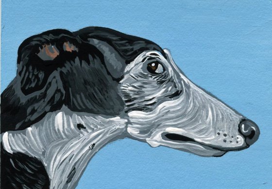 Greyhound Whippet