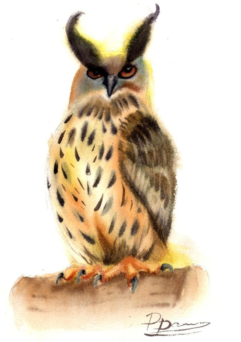 Owl on the branch by Olga Shefranov (Tchefranova)