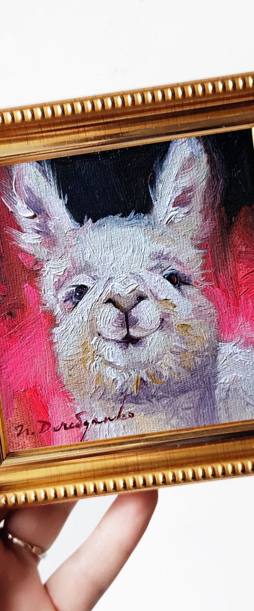 Lama Alpaca by Nataly Derevyanko