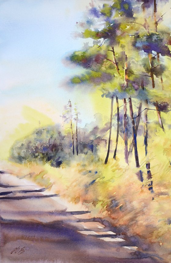 Pine forest in sunshine, watercolor pine trees