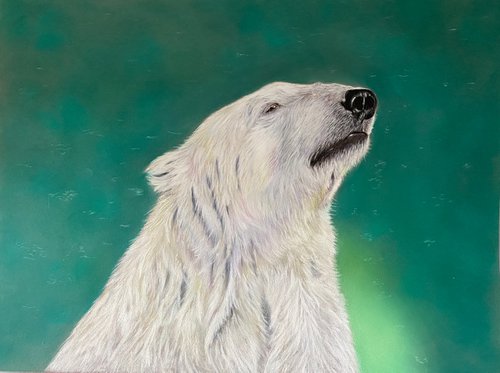 Polar bear by Maxine Taylor