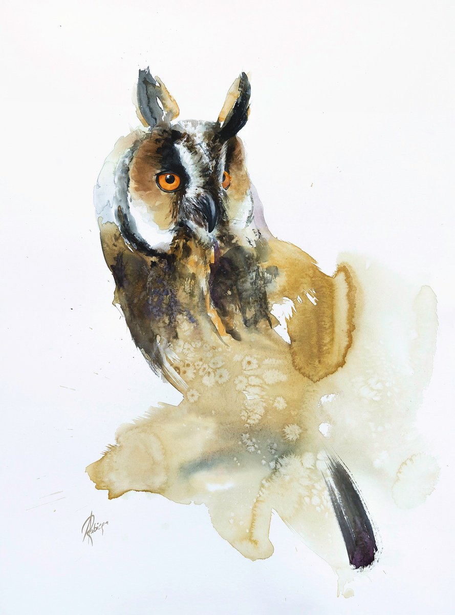 Animal Watercolour By Andrzej Rabiega, 22 X 30, Long-Eared Owl - Differently, Original Artwork