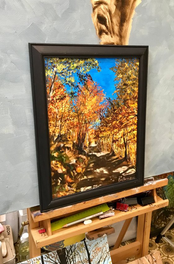 Autumn In Montenegro