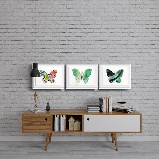 A Butterfly Story Collection 3