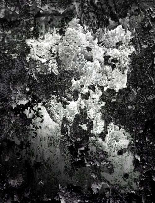 Carbone 14 by Philippe berthier