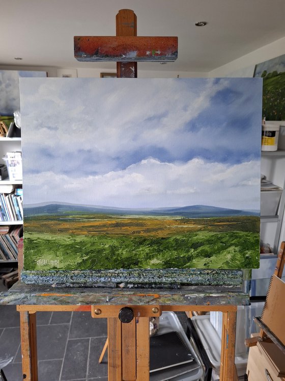 From Slemish, Ireland