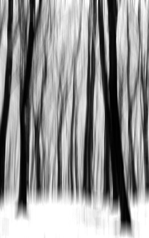 Blurred Trees by Russ Witherington