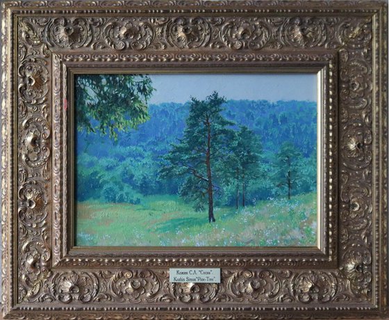 Pine grove