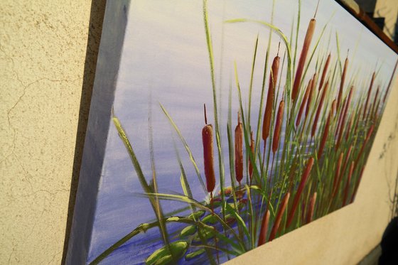 Cattails - From Giverny with love