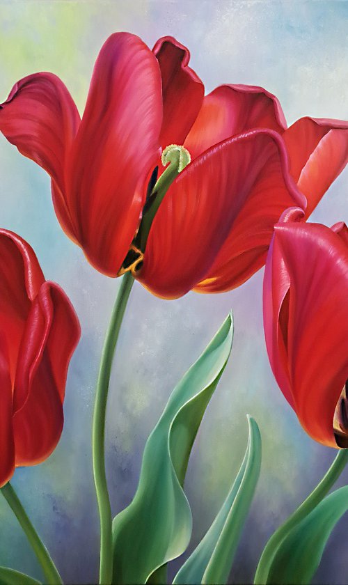 "Summertime", red tulips by Anna Steshenko
