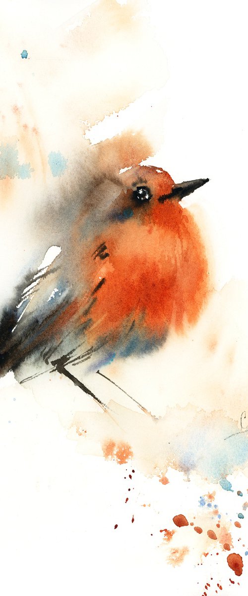Robin Bird by Sophie Rodionov