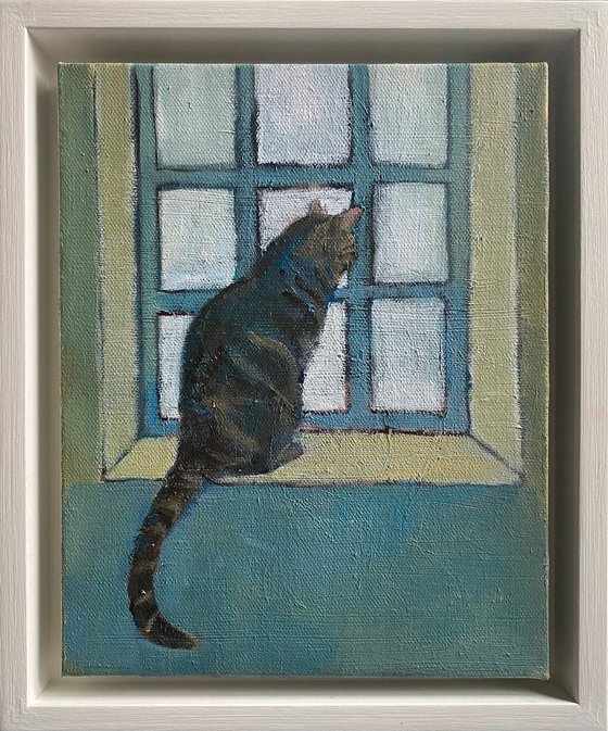Cat in Window (Mylo)