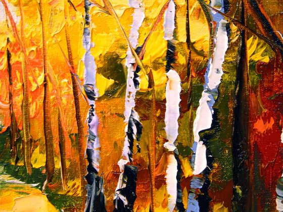 Birch grove