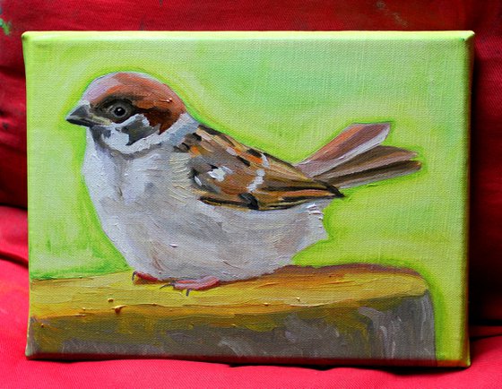 Sparrow On Yellow