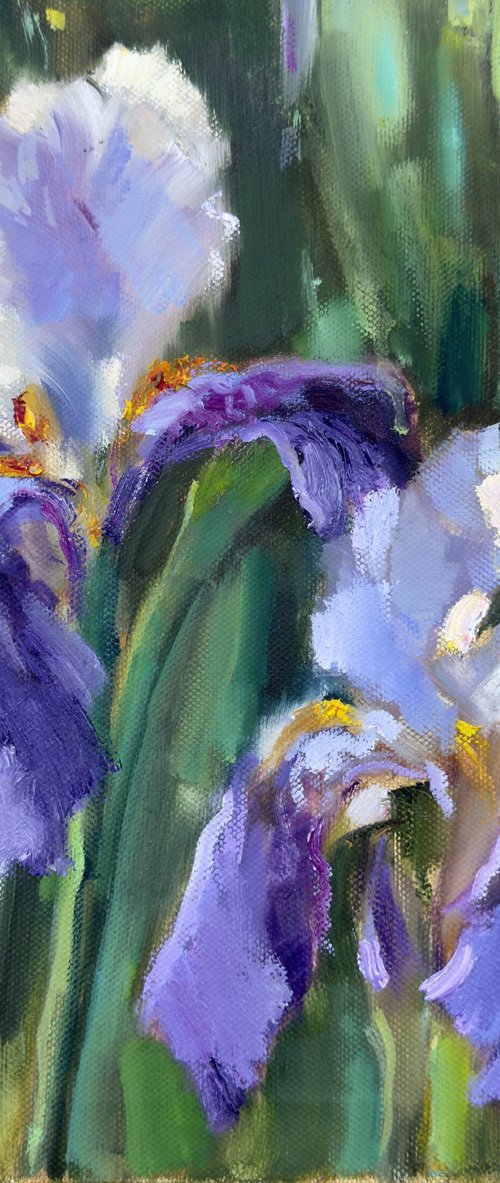 Rhythm of Irises by Olha Laptieva