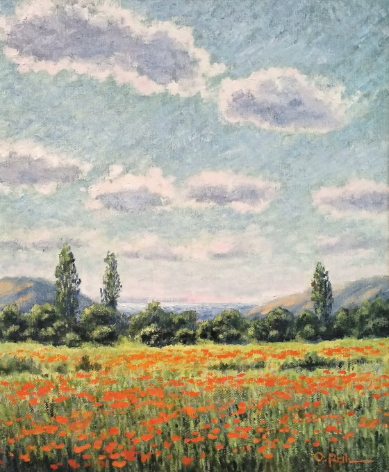Poppy field