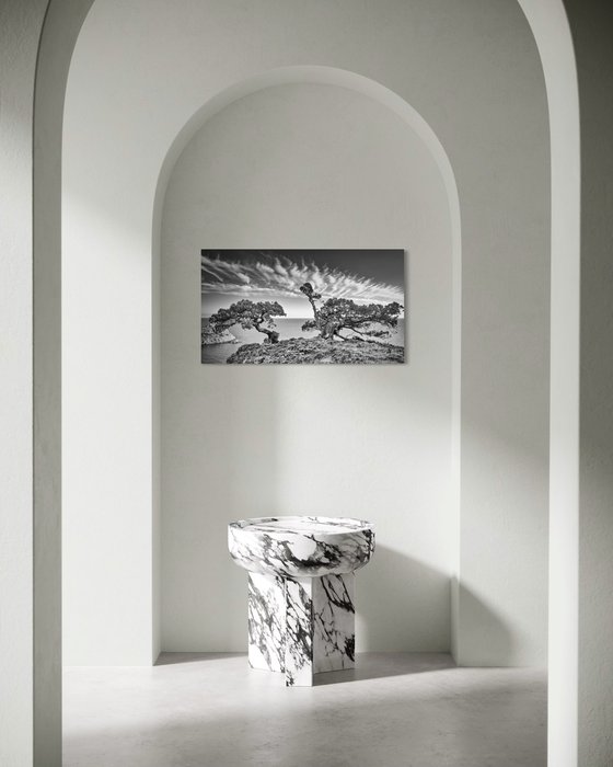 Guardians of the Cliff