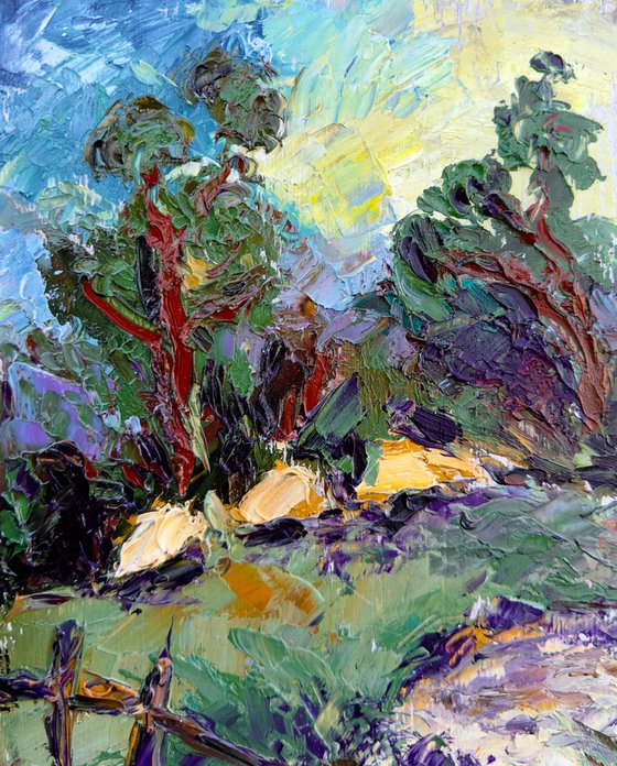 Old Trees Glade
