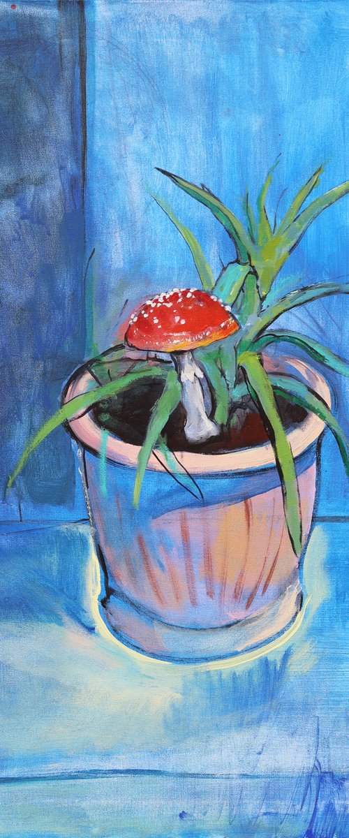 Amanita and Aloe. Relation ship by Artem Andreichuk