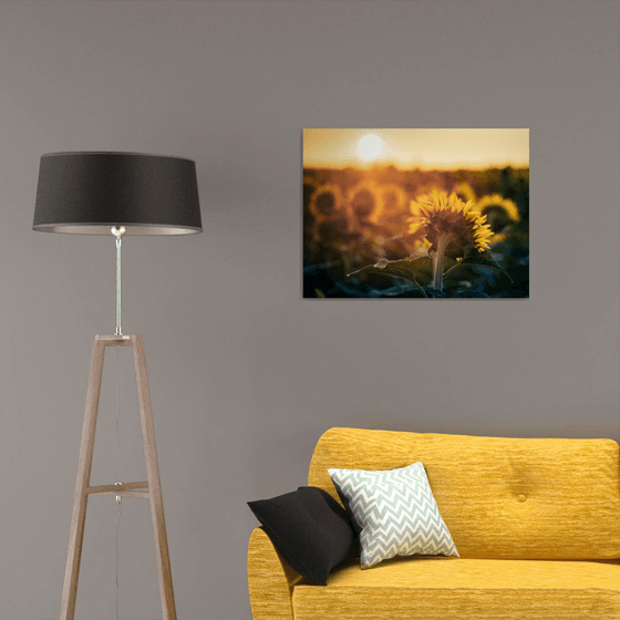 Golden Silence IV – Fading Glow