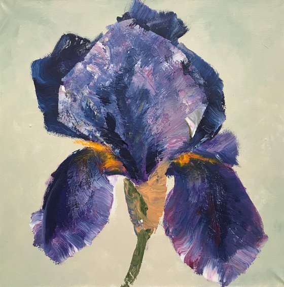 Dark blue iris original painting on canvas