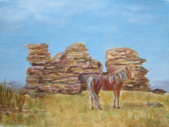 Wild Dartmoor Pony and Tor