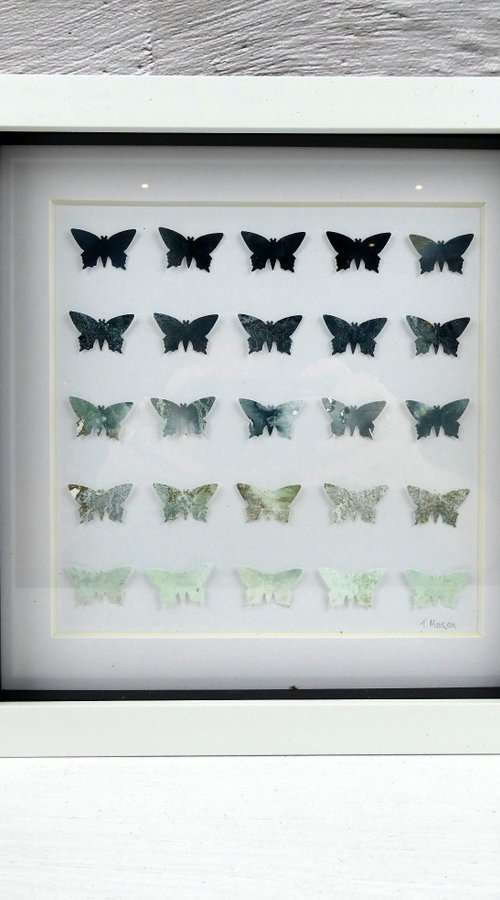 25 Grey butterflies by Tracey Mason